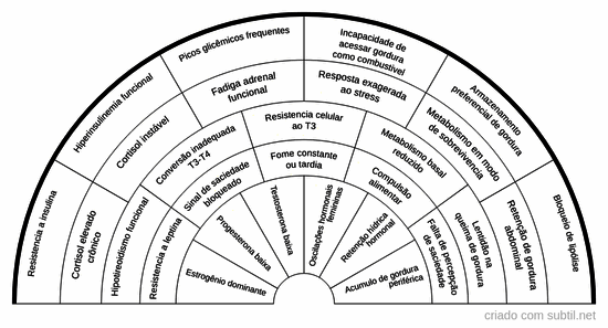 Causas emagrecimentos 4