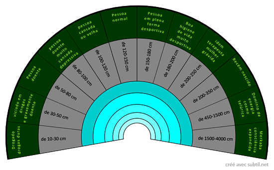 Dimensão do biocampo