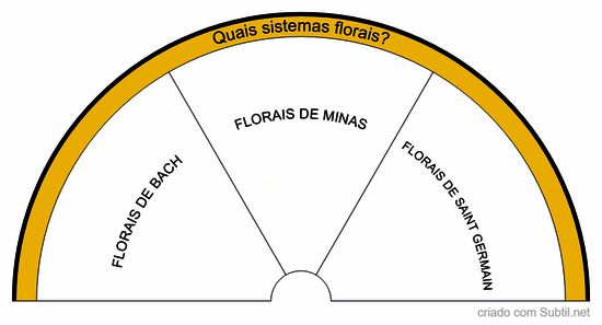 Pesquisa sistemas florais