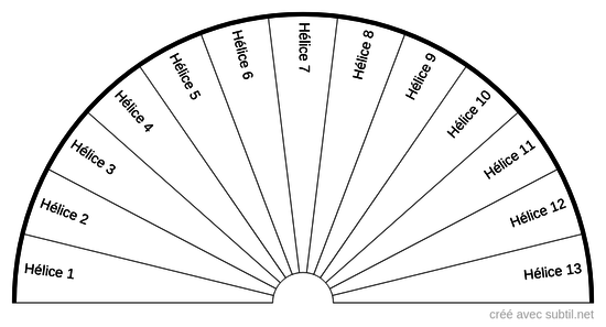 Hélices ADN