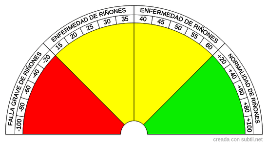 Test para riñones