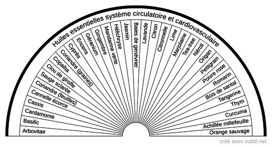 Huiles essentielles - Système cardiovasculaire et circulatoire