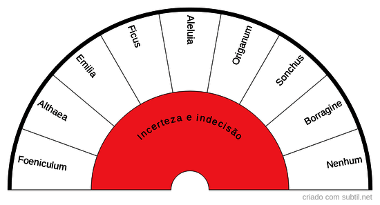 Grupo da Indecisão e Inserteza