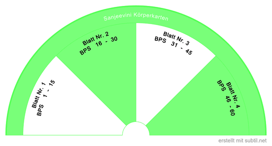 Sanjeevini Körper BPS Blatt abfragen