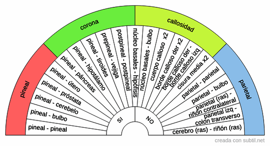 Pares biomagnetismo - Zona coronilla