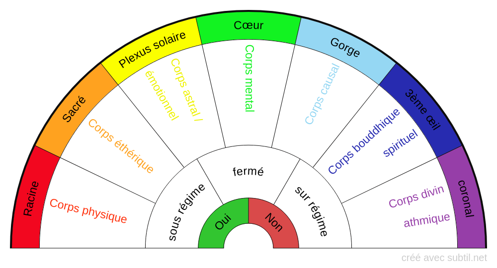 les 7 corps liés aux chakras