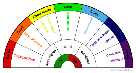 les 7 corps liés aux chakras