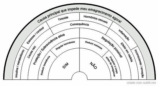 Causas emagrecimento  2