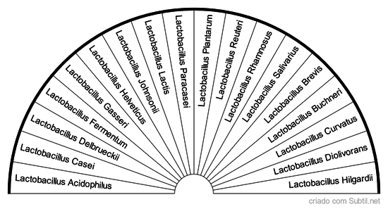 Lactobacillus