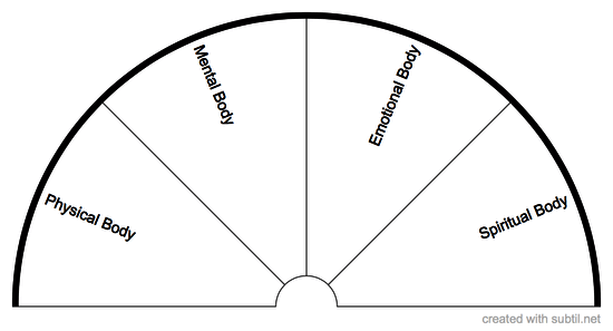 Layers of the Human Body