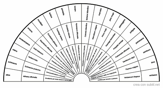 Piante ed erbe fitoterapiche 3