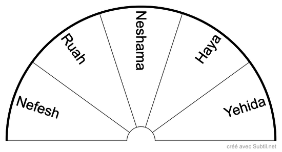 Les 5 niveaux de l’âme 