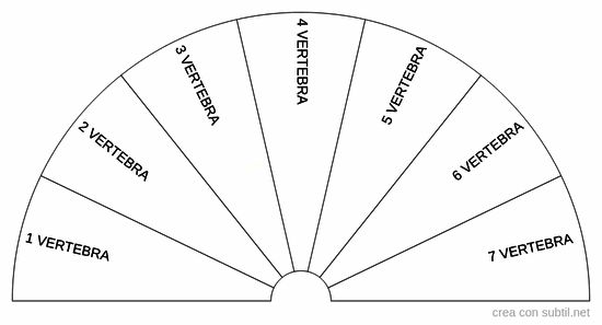 Vertebre specifiche cervicali