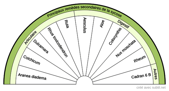 Diathèses homéopathiques - 6 A (Sycose)