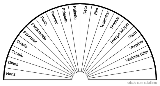 Orgãos 2