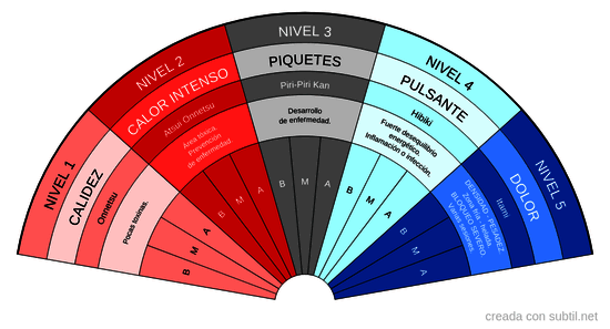 Niveles de byosen - Reiki