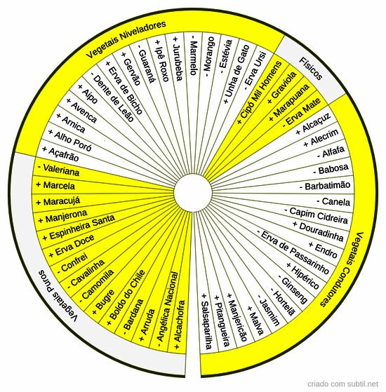 Vegetais chakra 3 = plexo solar umbilical