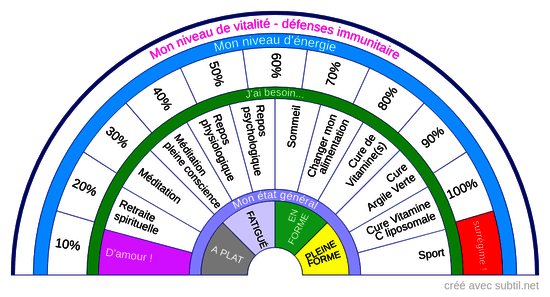 Niveau vitalité & énergie