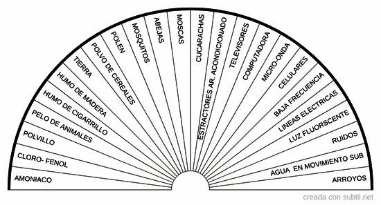 Alergias y efectos adversos