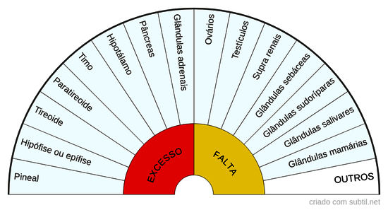 Glândulas endócrinas