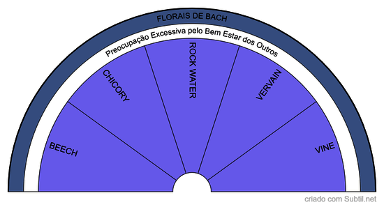 Florais de bach - preocupação excessiva bem estar outros