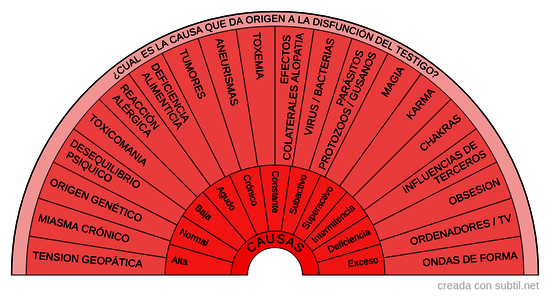 4. Causas