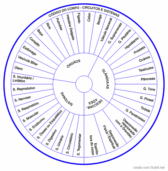 Código do corpo - circuitos e sistemas