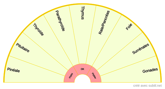 Système endocrinien