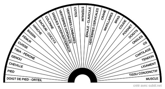 Médical - Système locomoteur / articulations