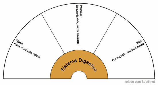 Sistema digestivo