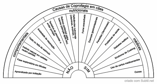 Causas de coprofagia em cães