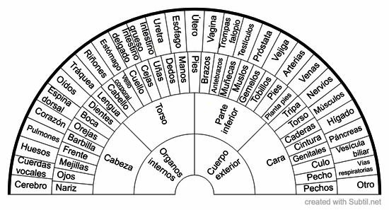 Partes del cuerpo