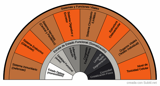 Estado maestro del cuerpo físico