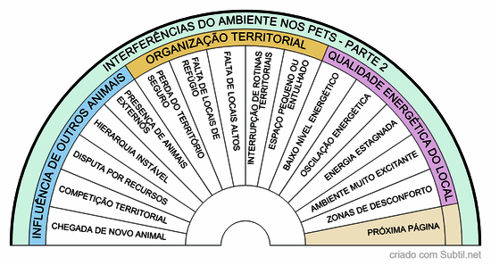 Interferência de ambientes nos pets parte 2
