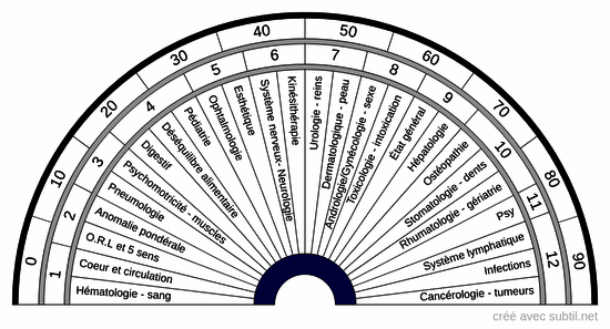 Médical - Divisions anatomiques