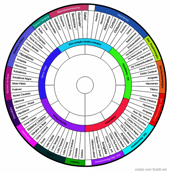 Cerebro2