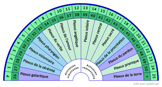 Plexus - pour activations combinées