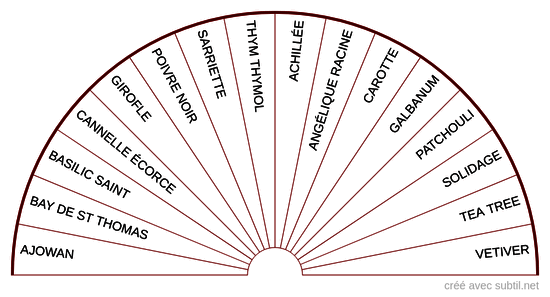 Huiles essentielles - 1er Chakra