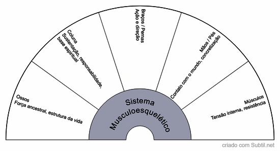 Sistema musculoesquelético