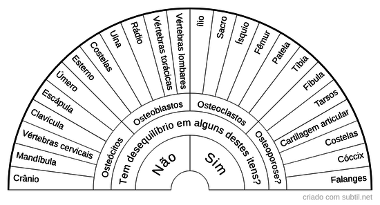 Sistema esquelético humano 