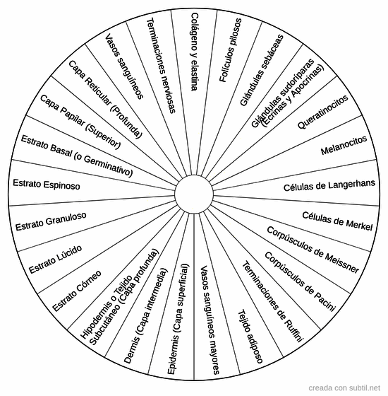 Lista completa de la piel