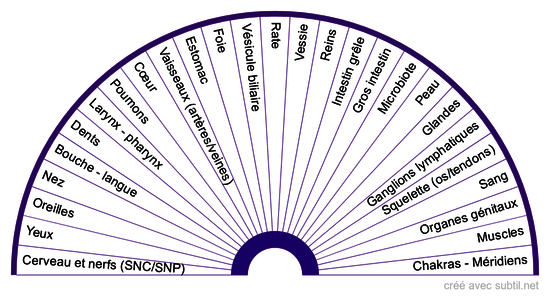 Organes