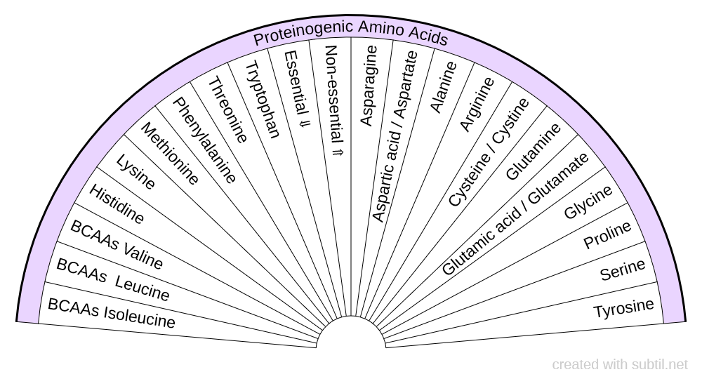 Proteinogenic Amino Acids