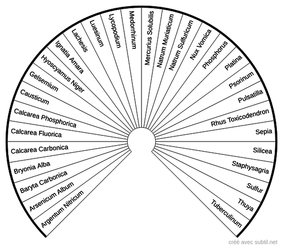 Profils homéopathiques - Homéotypes