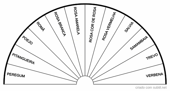 Ervas mornas ou equilibradoras reposição energetica