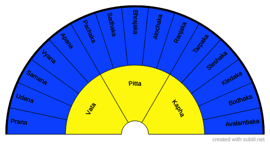 Dosha & Sub-dosha