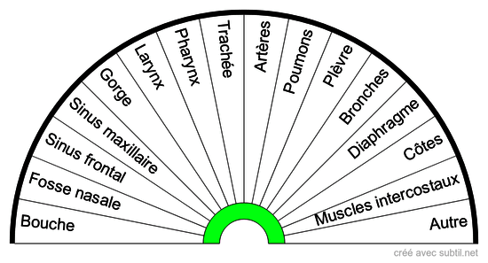 Médical - Système respiratoire