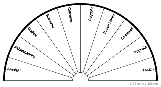 Ayurveda 1