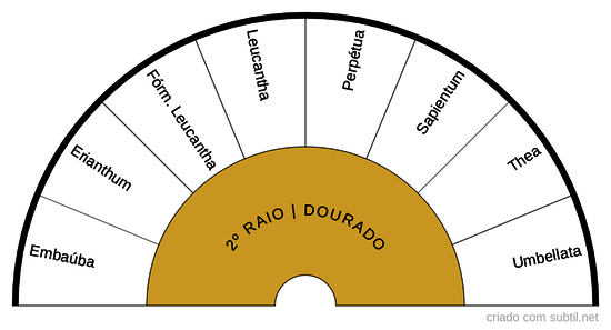 2º RAIO DOURADO