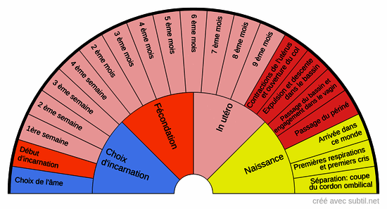 Incarnation prénatale